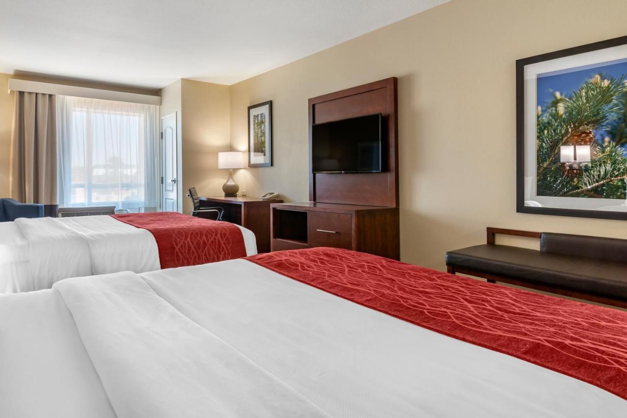 Comfort Inn & Suites Тифтон Номер фото
